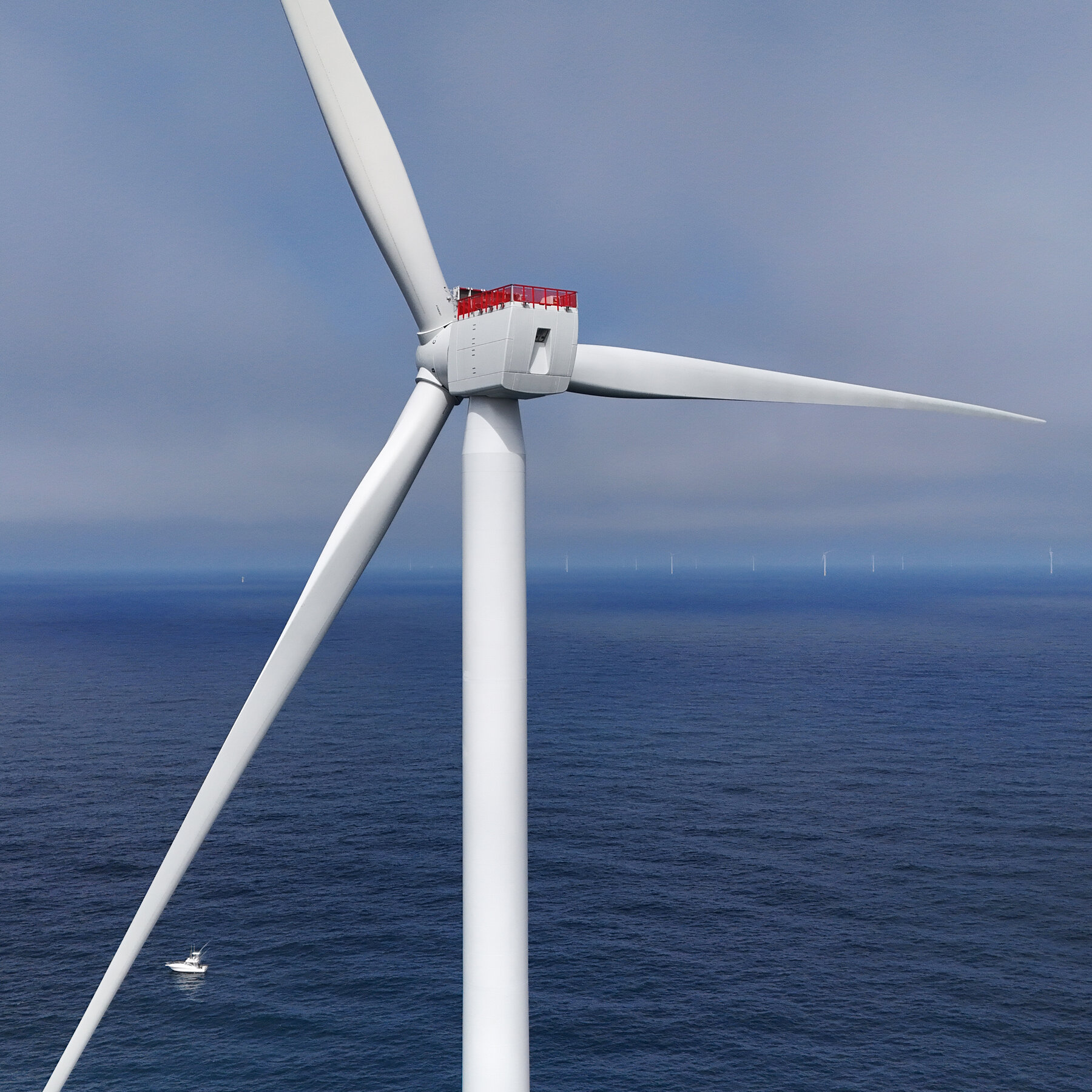 Mavi‑eyalet avukatları, Trump yönetimini $795 milyonluk TotalEnergies açık deniz rüzgar enerjisi iptali nedeniyle dava ediyor