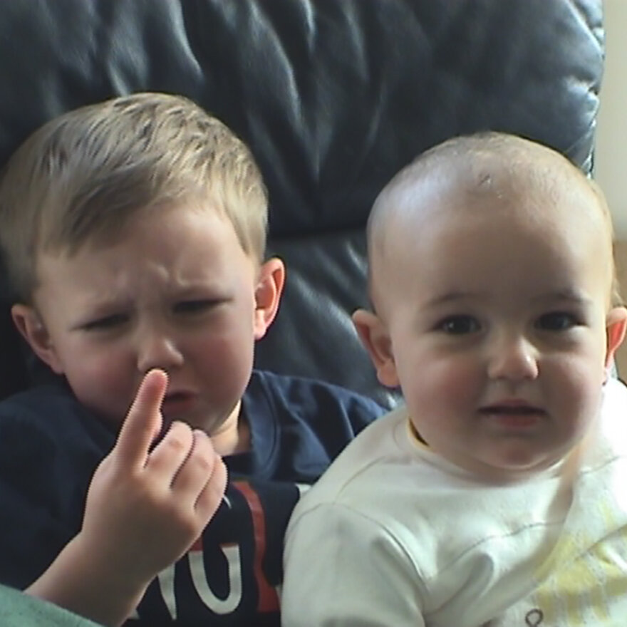 BFI Curates Over 400 Iconic Internet Memes in New Video Archive