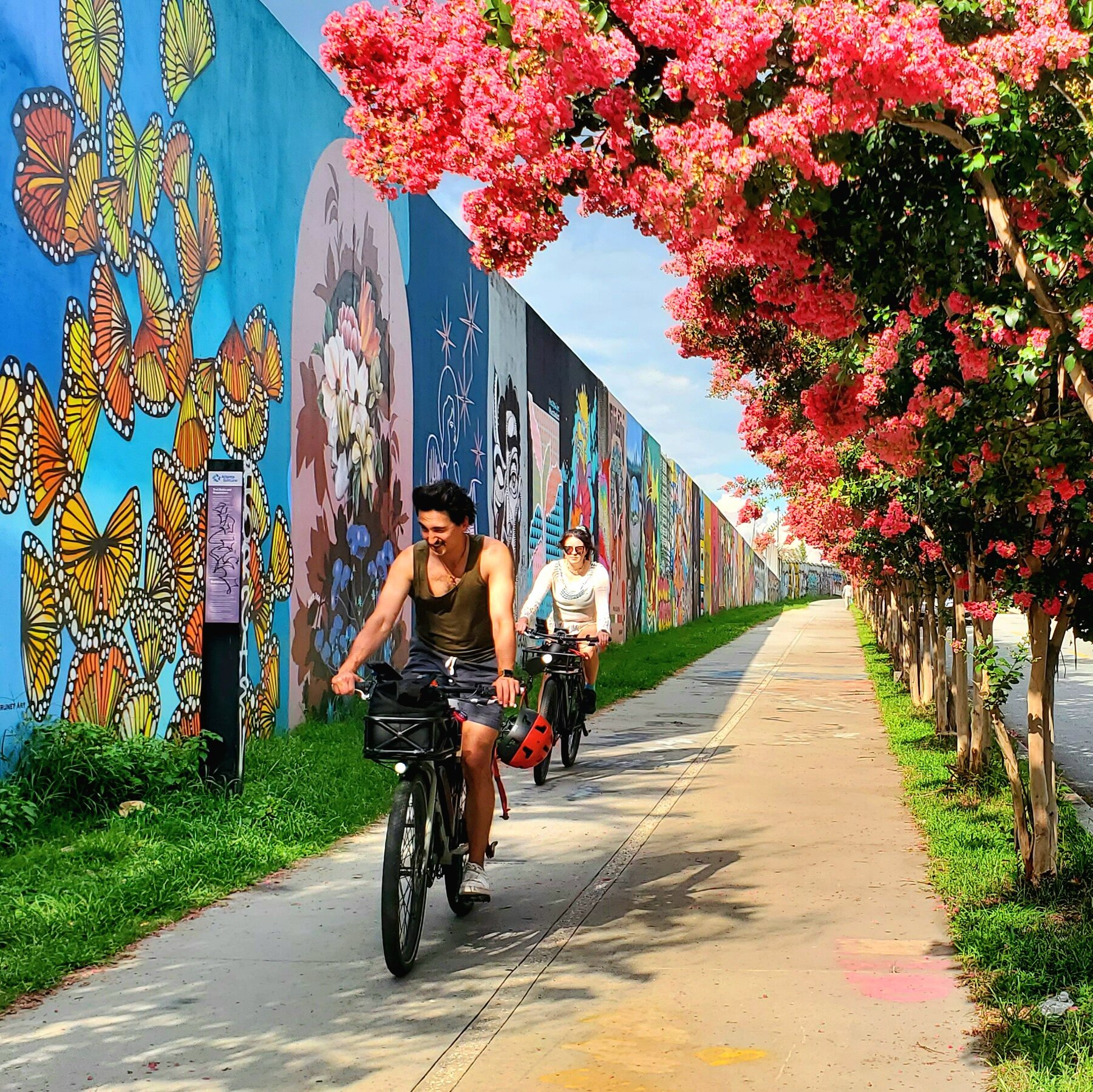 Best North American Cities for Safe, Scenic Biking