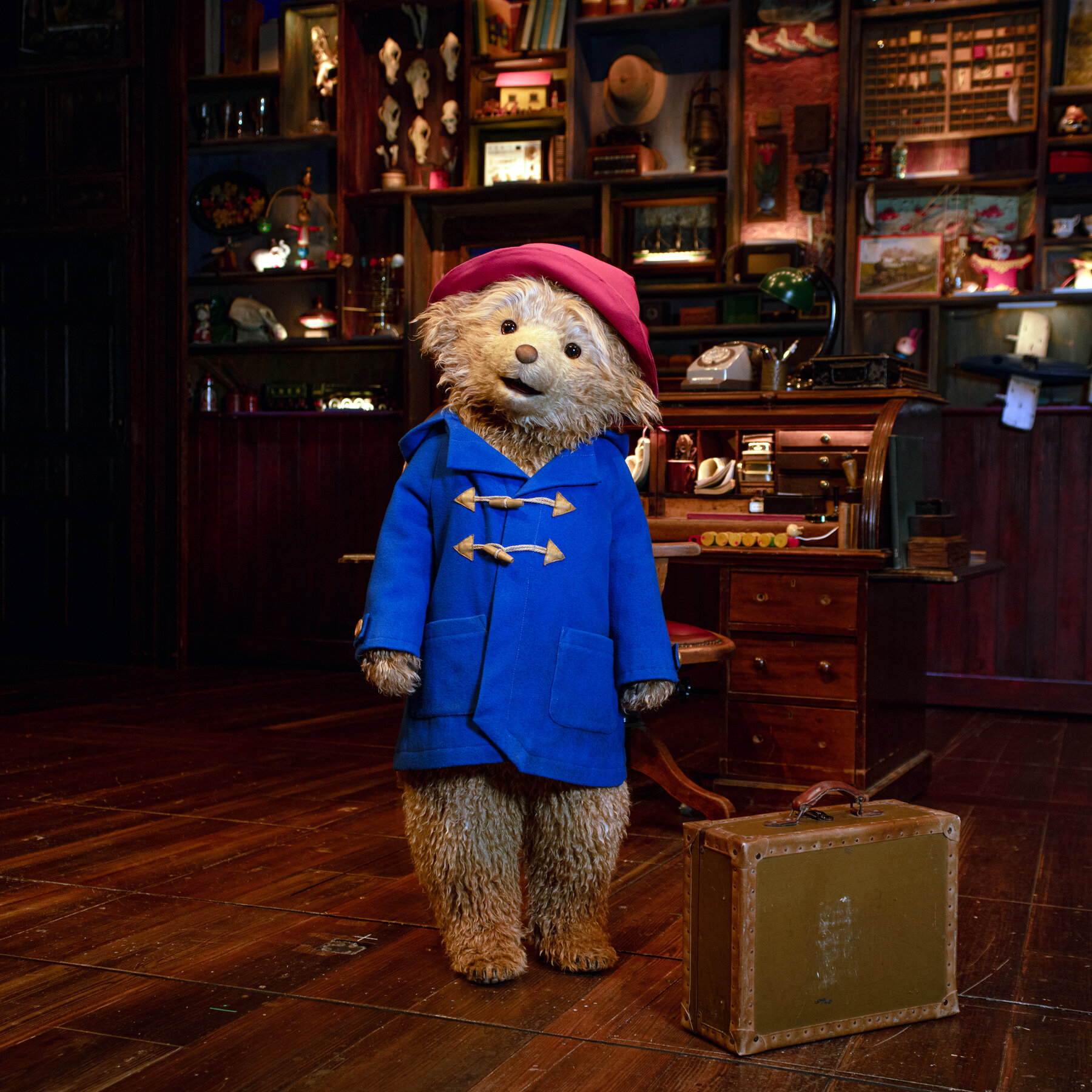 Paddington Müzikali Londra'da Büyük Bir Başarıya Uğradı, Nisan'da Broadway'de İlk Performansı Yapacak
