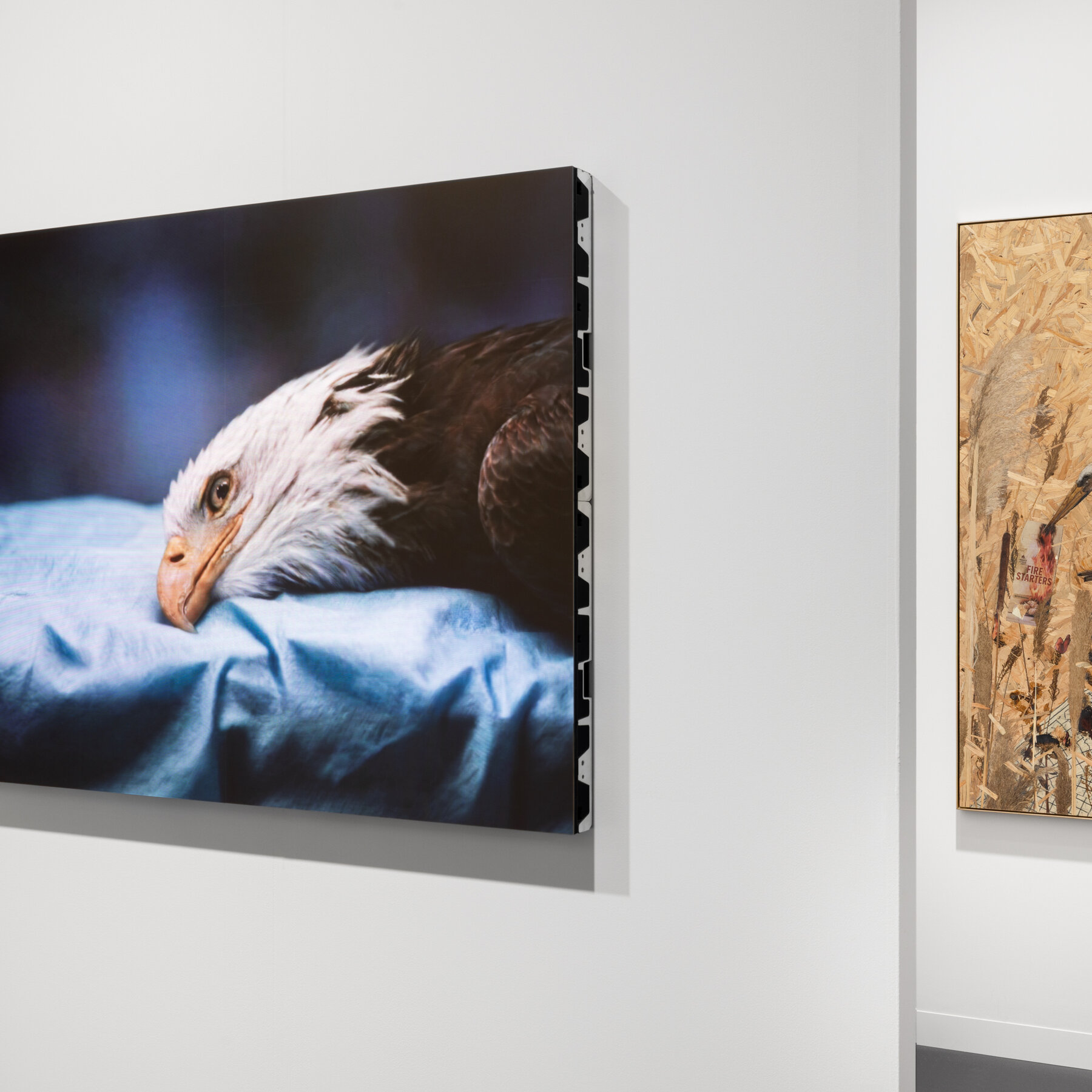 Art Basel Brims with Buoyant Auctions Yet Dealers Face Precarious Business Climate