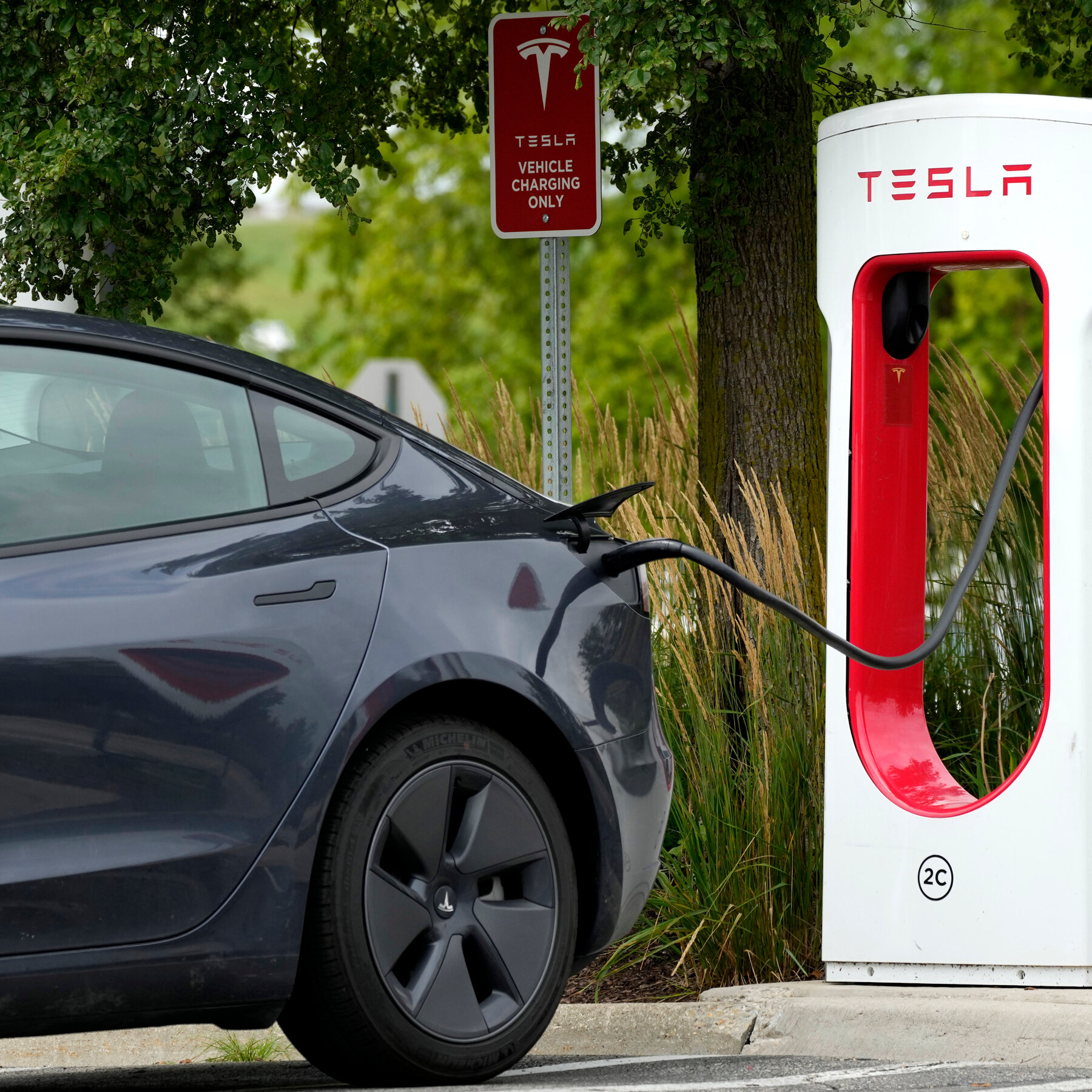 Tesla Sales Rise in Europe Despite Mixed Sentiment Toward Elon Musk