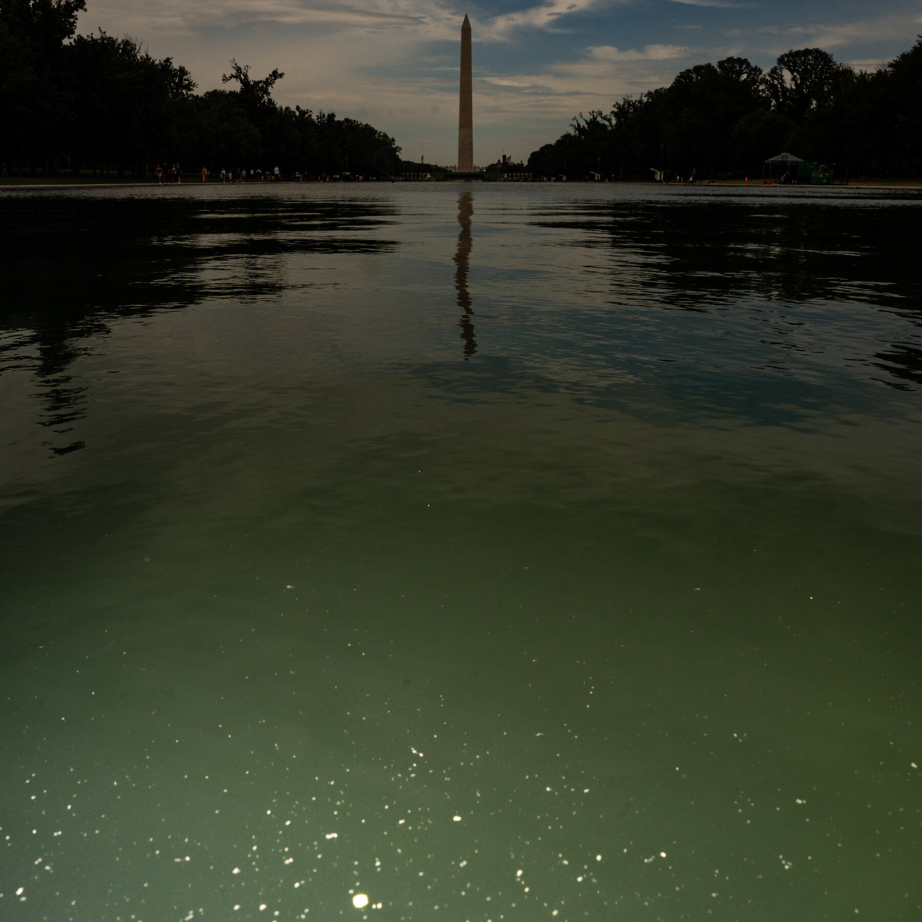E Pluribus Algae: Yeşil Kuytu Su, Amerikan Kimliği Nasıl Yansıtıyor?