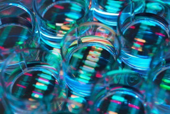 OpenAI researcher Miles Wang plans AI drug discovery startup valued at $2 billion