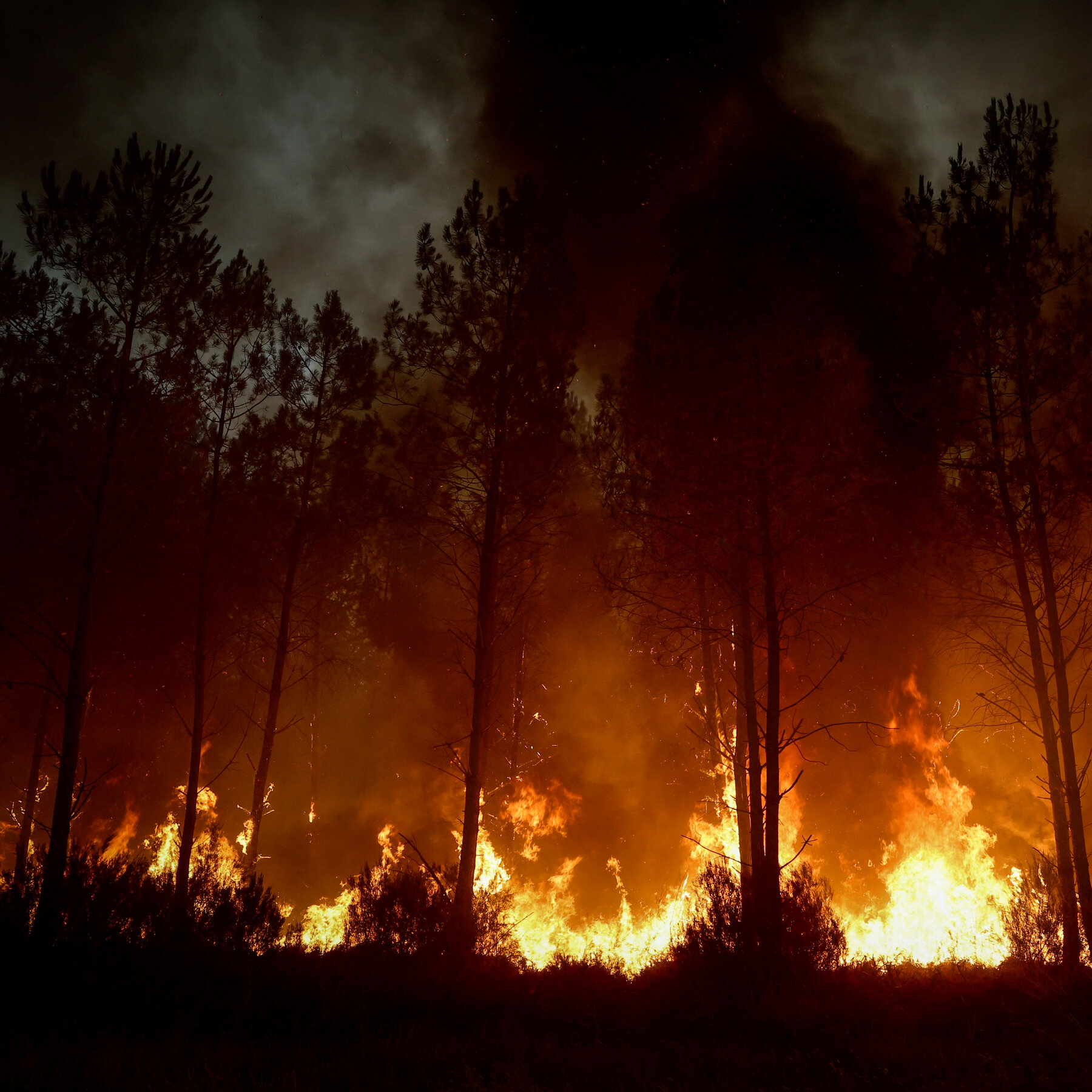 European Communities Rally to Fight Wildfires as Politicians Clash Over Response Funding