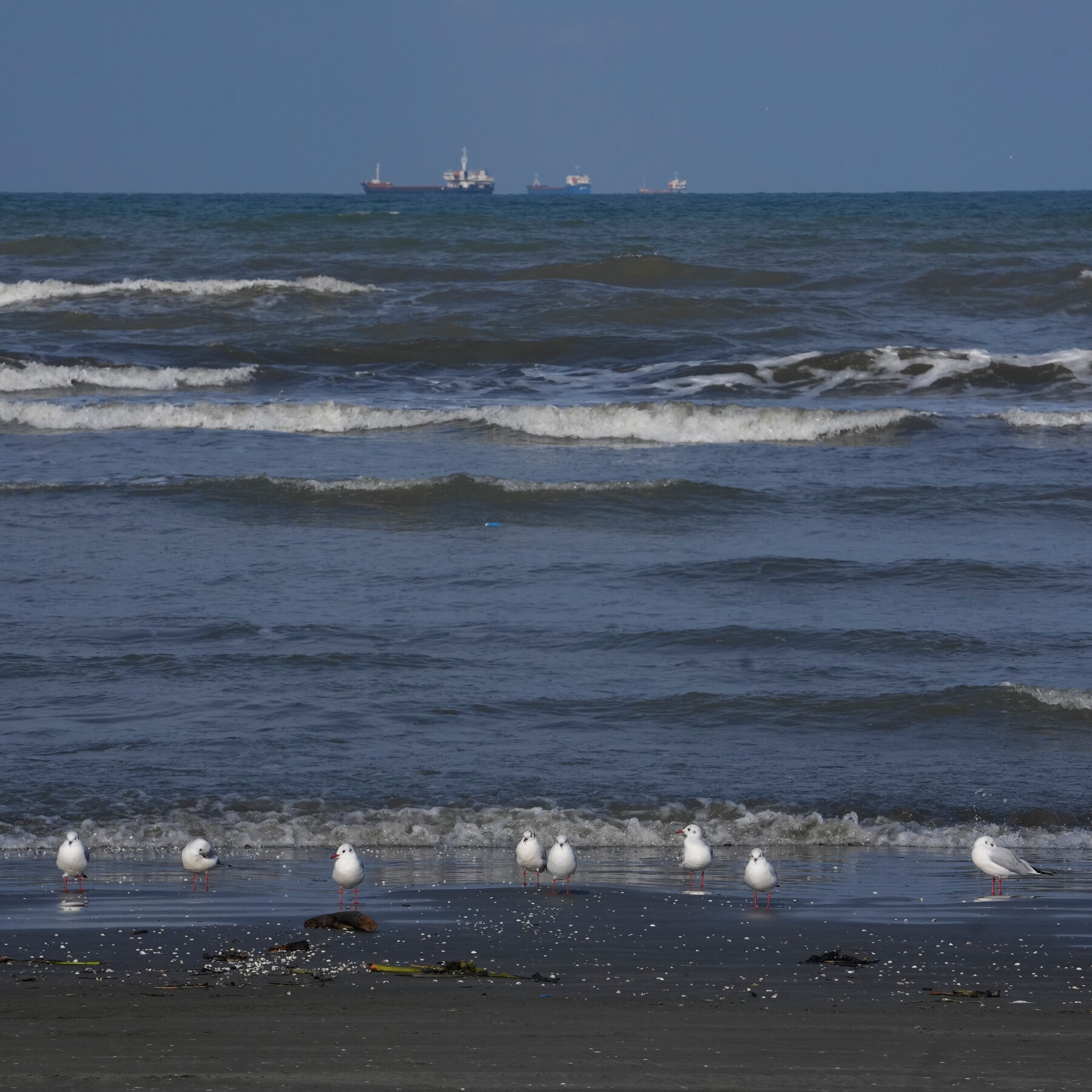 Ukraine hits Iranian vessel in Caspian Sea, raising risk of linked conflicts