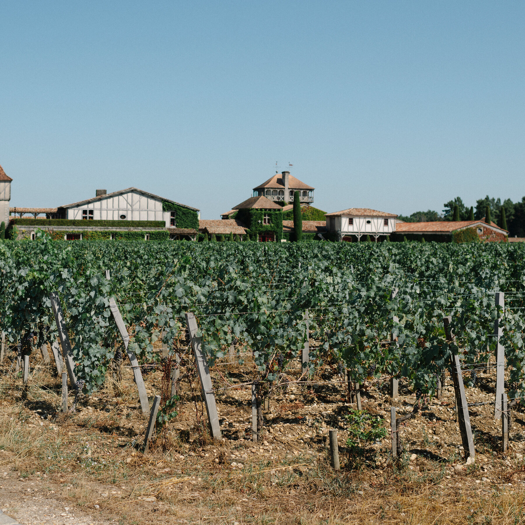 Wildfires Threaten Bordeaux Vineyards, Adding to France's Wine Industry Struggles