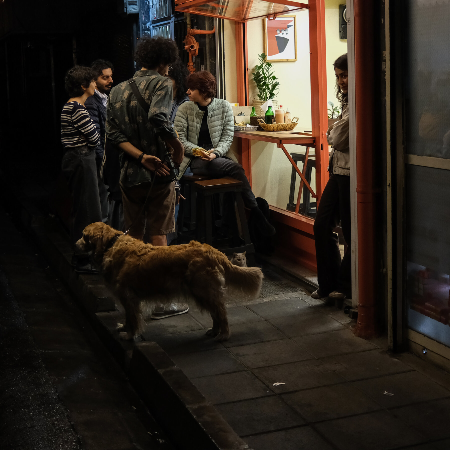 Iran schließt Cafés, in denen sich junge Menschen treffen, während Behörden öffentliche Räume anvisieren